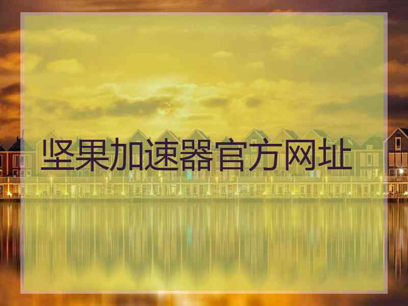 坚果加速器官方网址