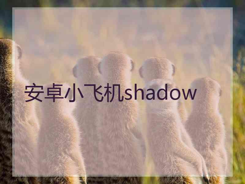 安卓小飞机shadow