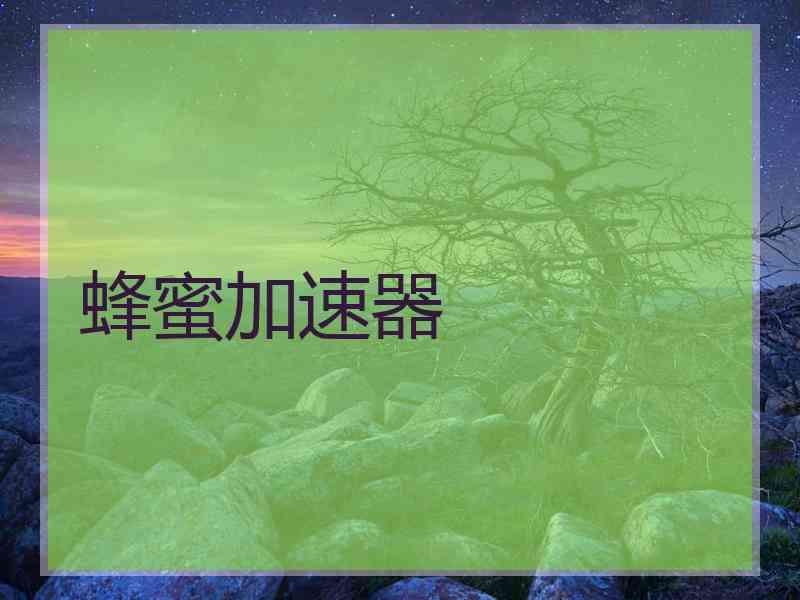 蜂蜜加速器