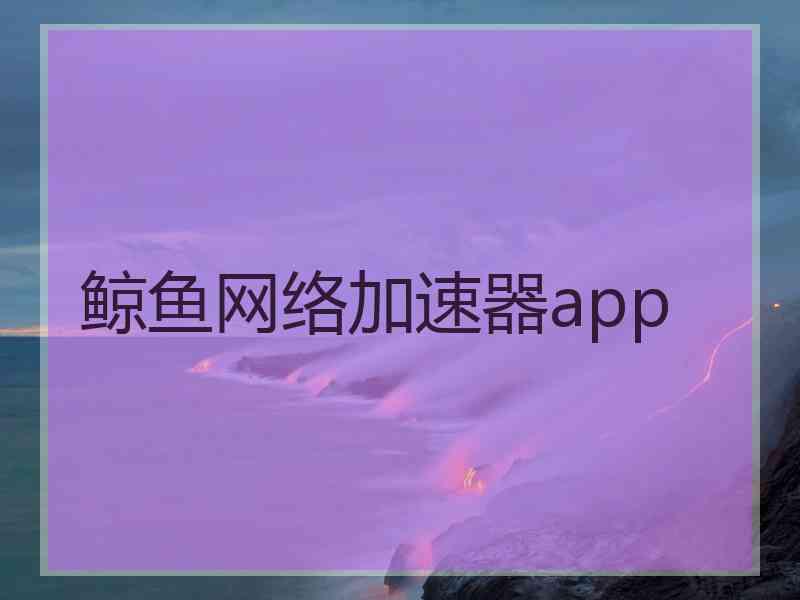鲸鱼网络加速器app