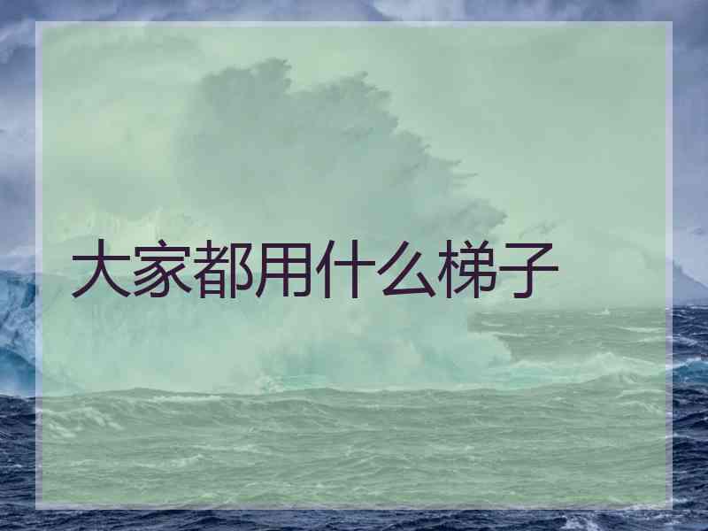 大家都用什么梯子
