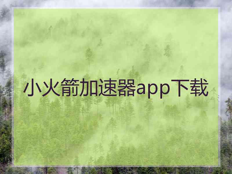 小火箭加速器app下载