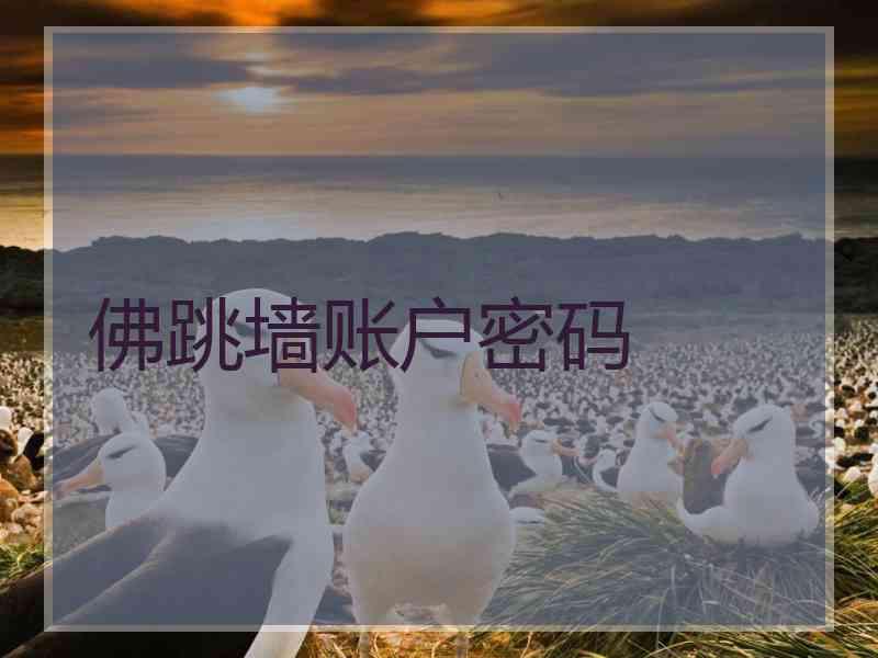 佛跳墙账户密码
