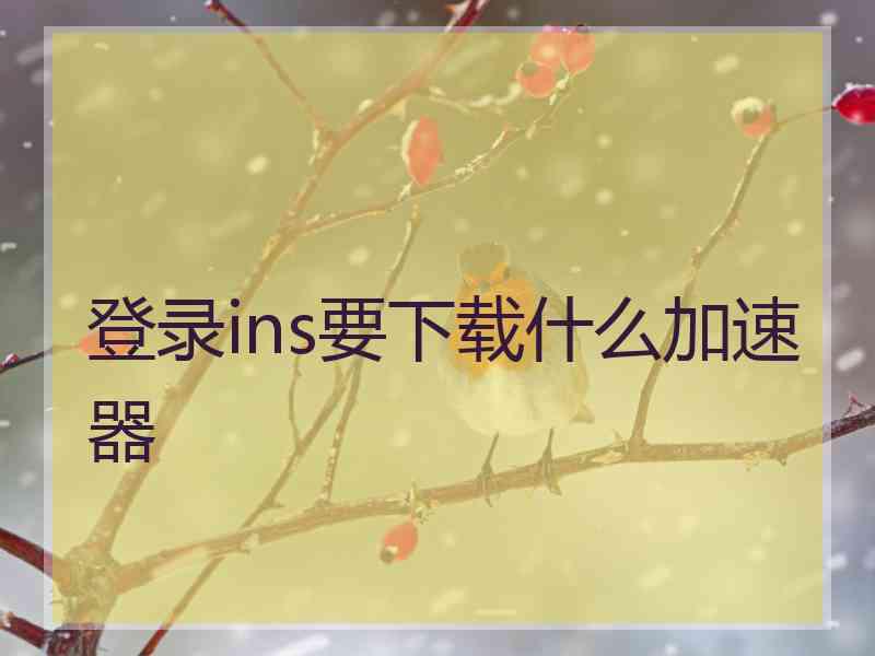 登录ins要下载什么加速器