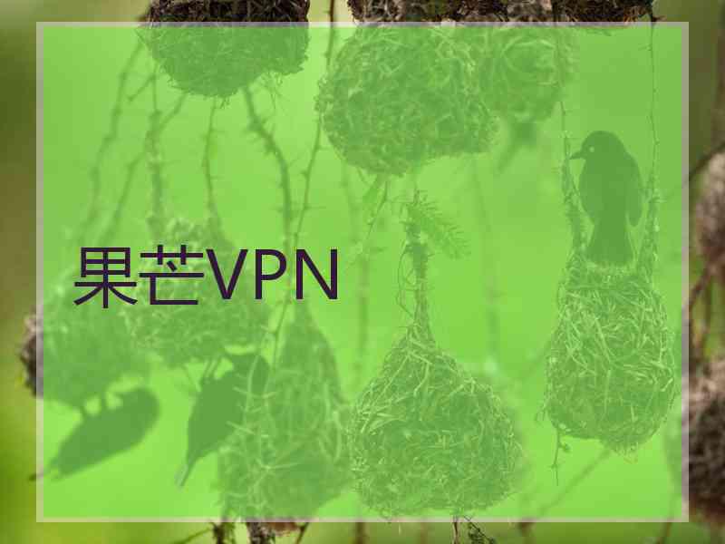 果芒VPN