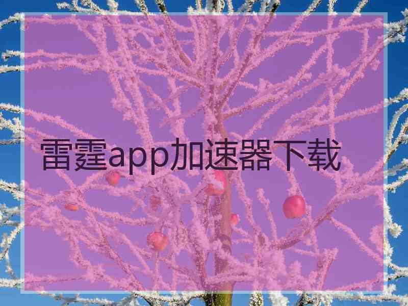 雷霆app加速器下载