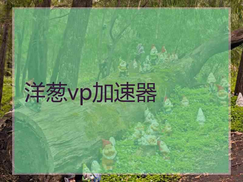 洋葱vp加速器