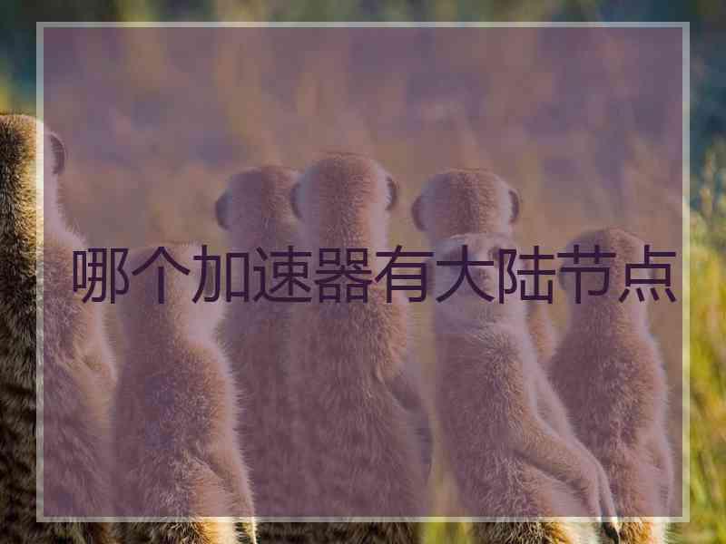 哪个加速器有大陆节点