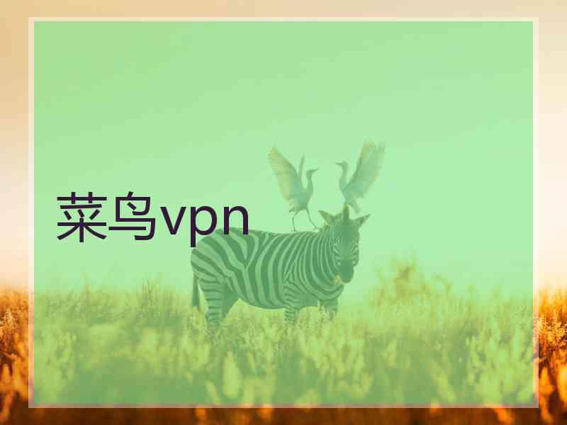 菜鸟vpn