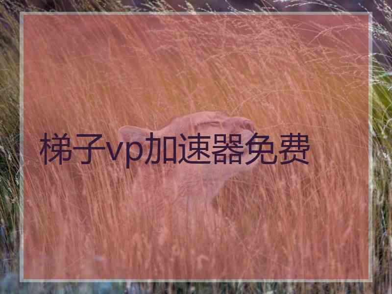梯子vp加速器免费
