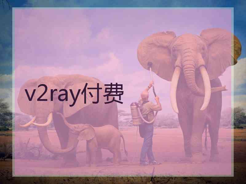 v2ray付费