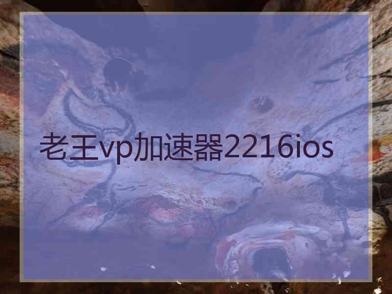 老王vp加速器2216ios