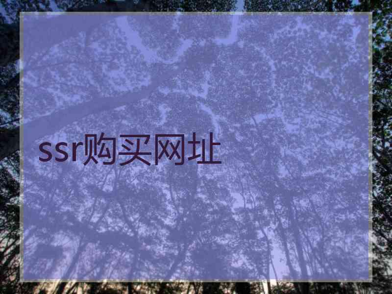 ssr购买网址