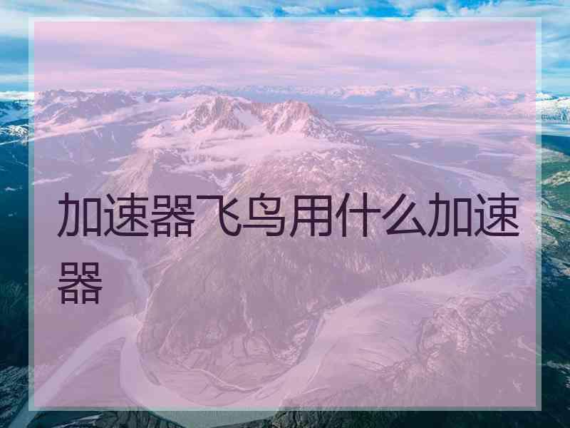 加速器飞鸟用什么加速器