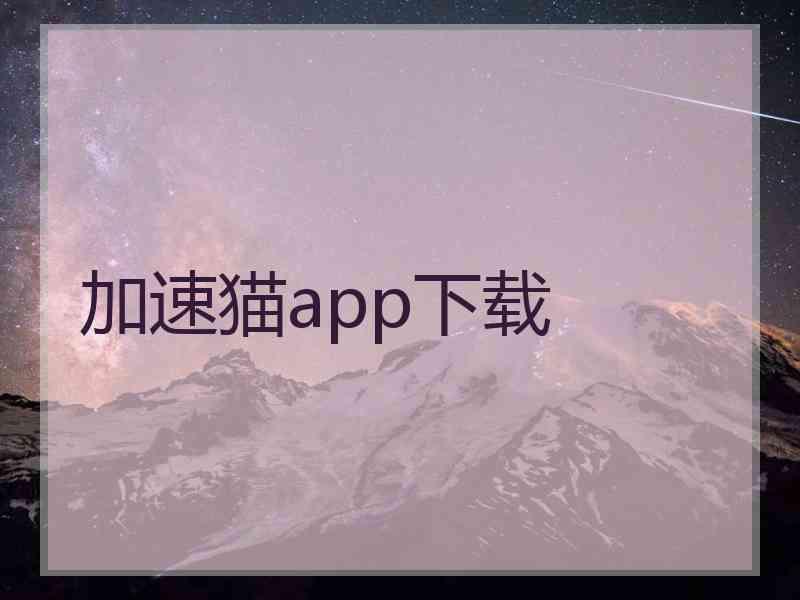 加速猫app下载