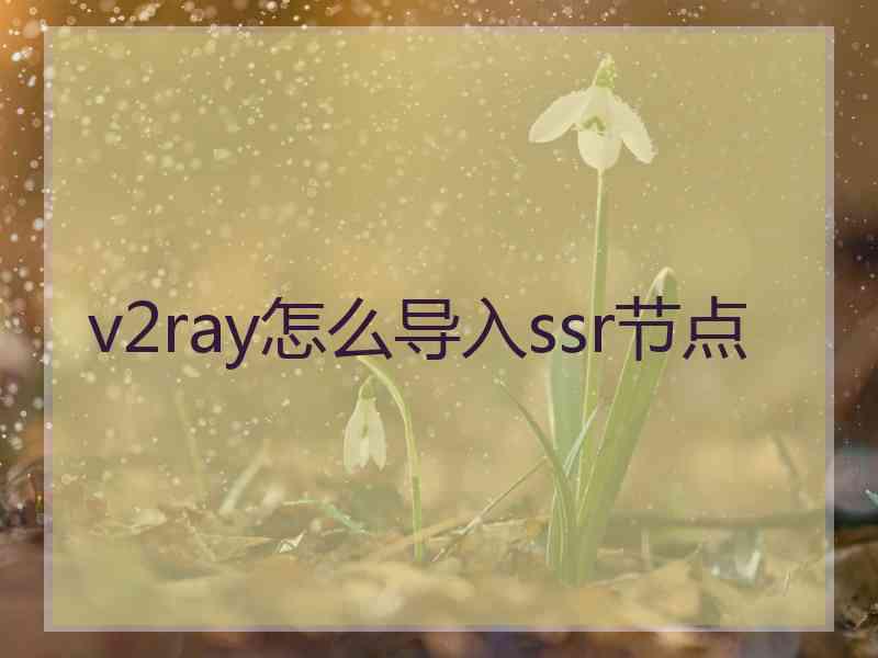 v2ray怎么导入ssr节点