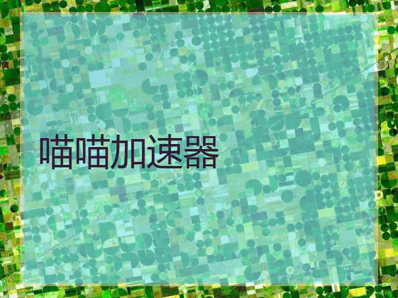 喵喵加速器