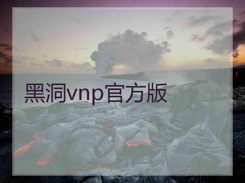 黑洞vnp官方版