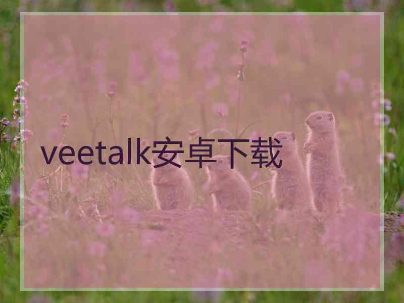 veetalk安卓下载