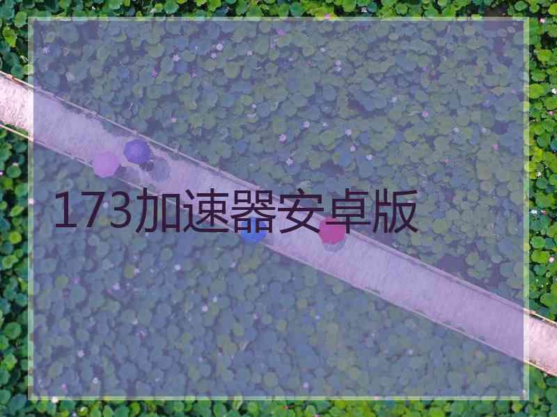 173加速器安卓版
