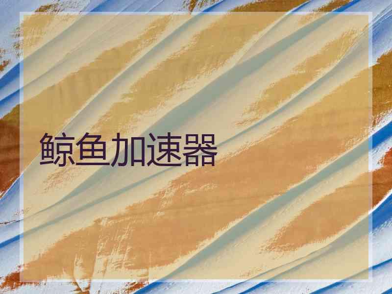 鲸鱼加速器
