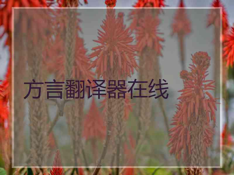 方言翻译器在线
