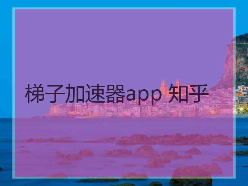 梯子加速器app 知乎