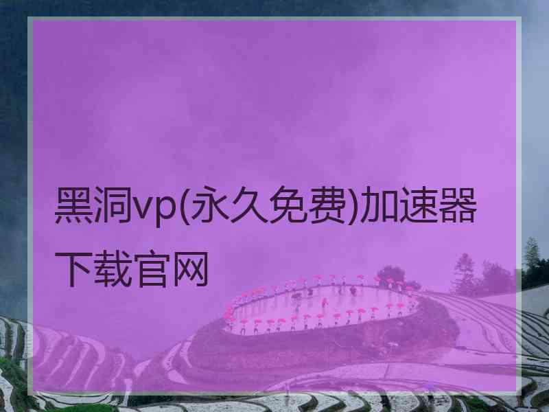 黑洞vp(永久免费)加速器下载官网