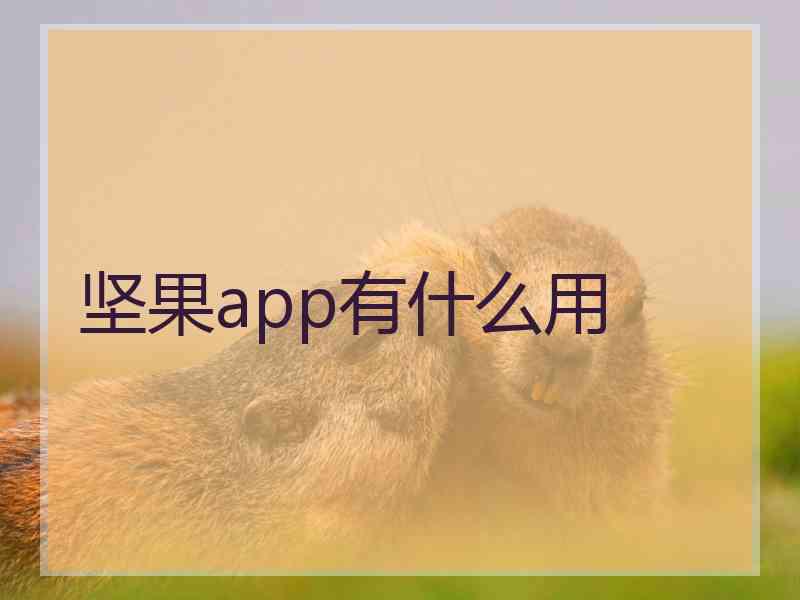 坚果app有什么用