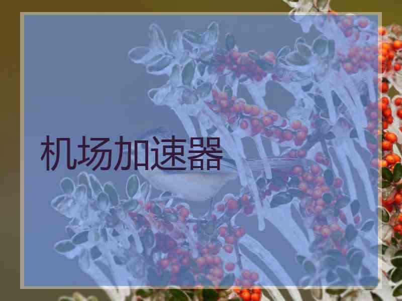机场加速器