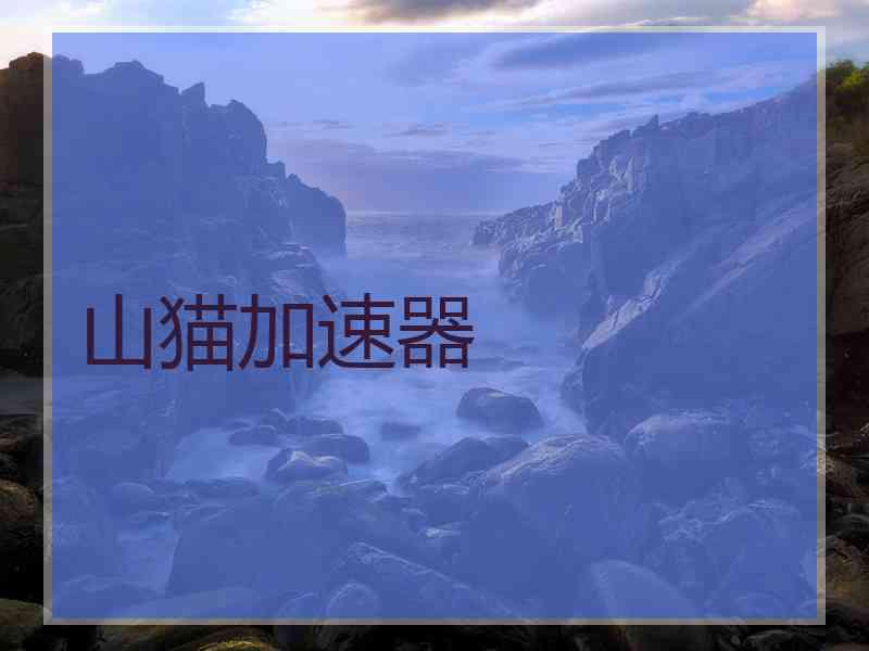 山猫加速器