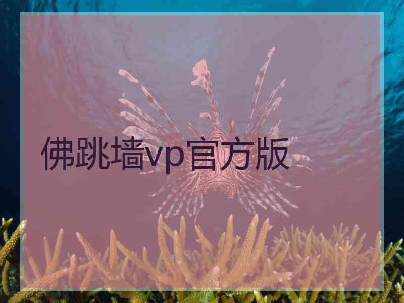 佛跳墙vp官方版