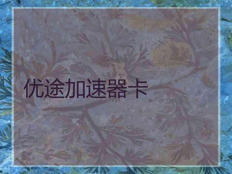 优途加速器卡