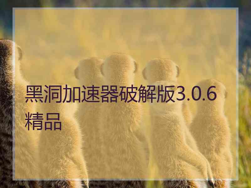 黑洞加速器破解版3.0.6精品