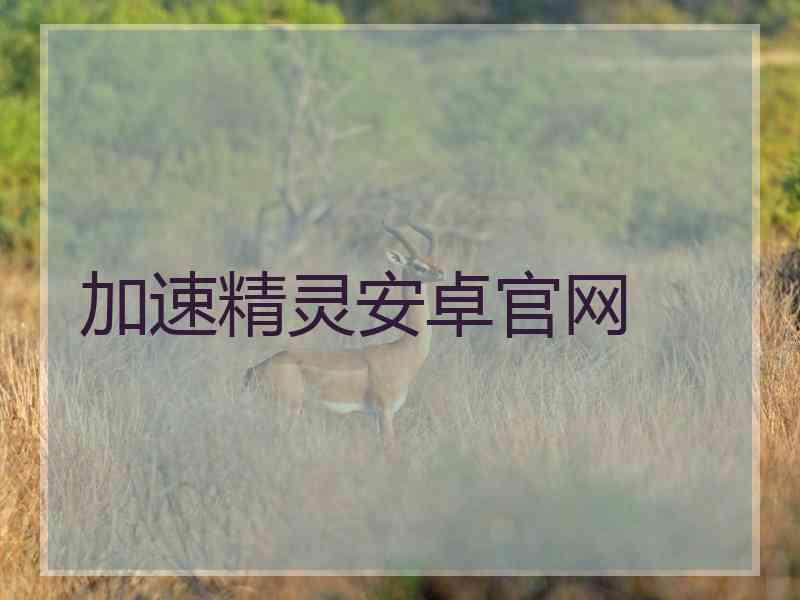 加速精灵安卓官网