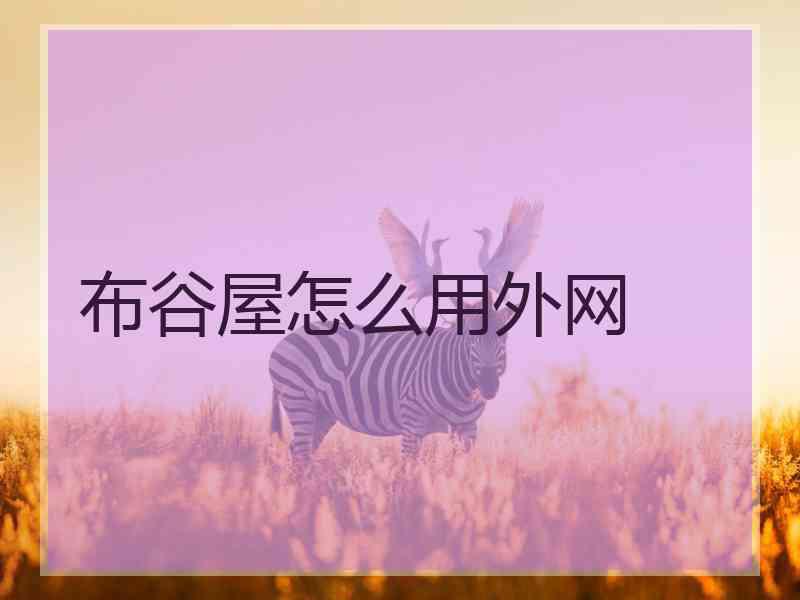 布谷屋怎么用外网