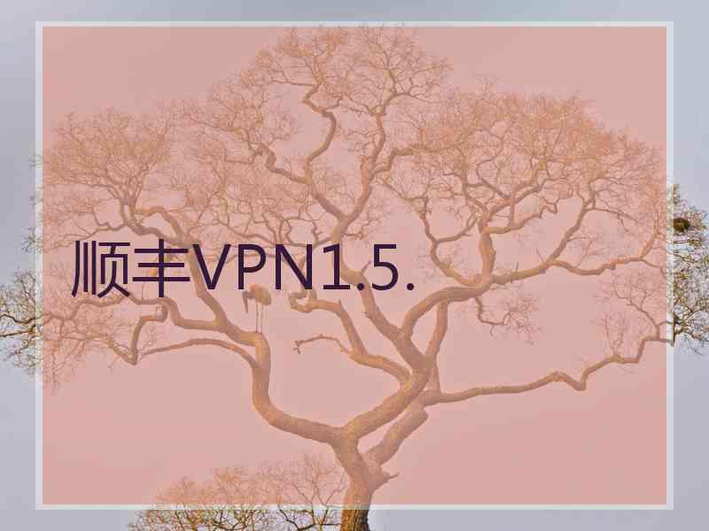 顺丰VPN1.5.