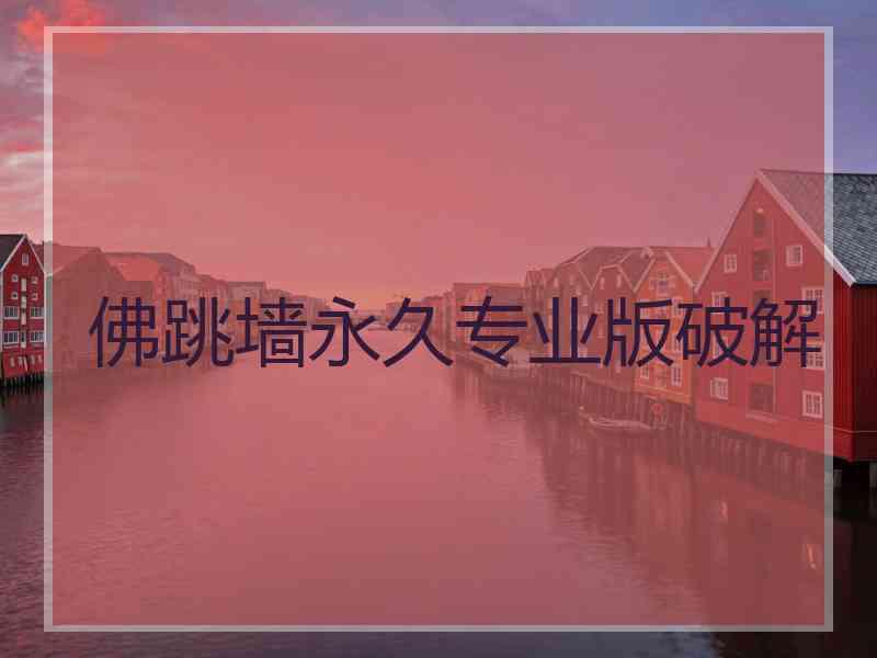 佛跳墙永久专业版破解