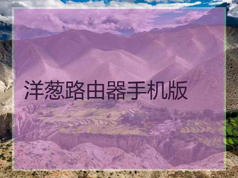 洋葱路由器手机版