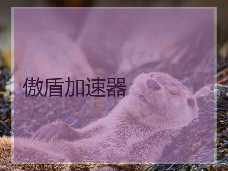 傲盾加速器