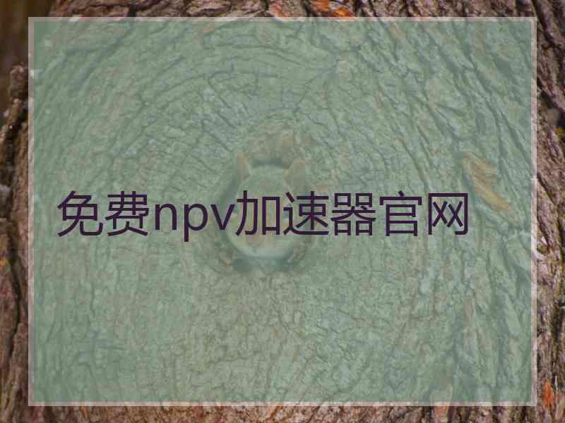 免费npv加速器官网
