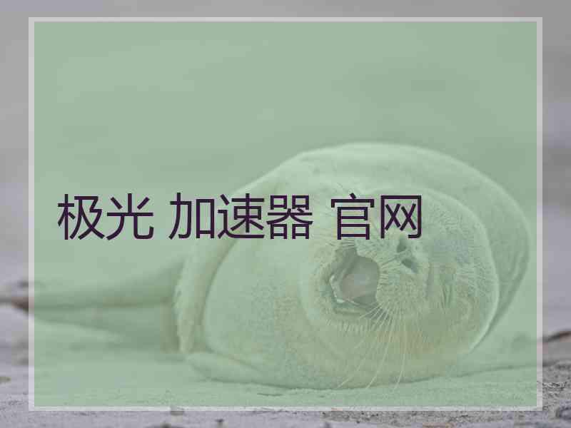 极光 加速器 官网