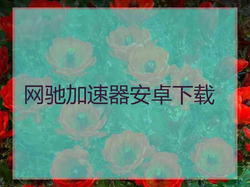 网驰加速器安卓下载