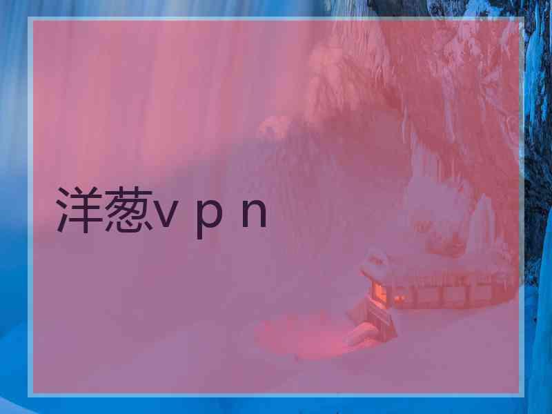 洋葱v p n