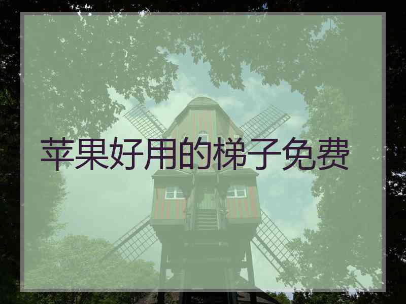 苹果好用的梯子免费