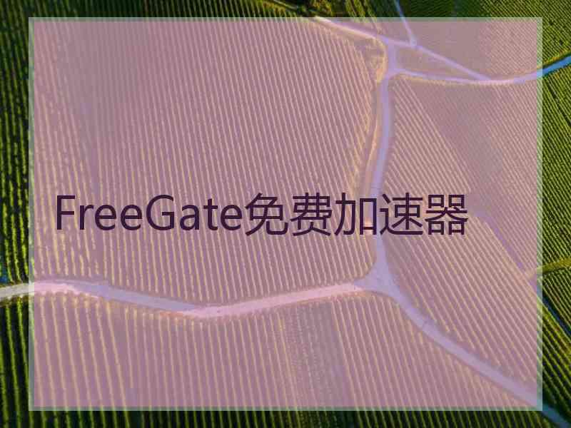 FreeGate免费加速器