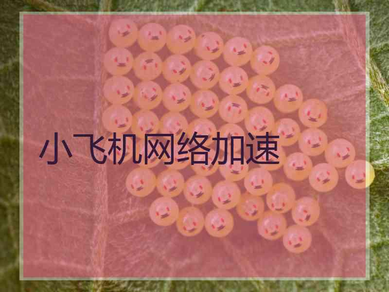 小飞机网络加速