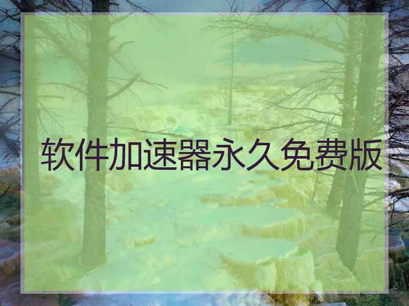 软件加速器永久免费版
