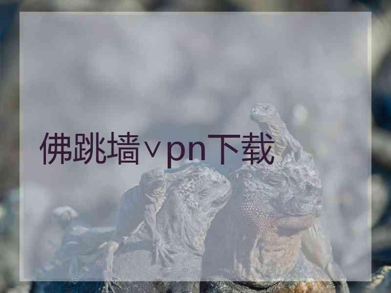 佛跳墙∨pn下载