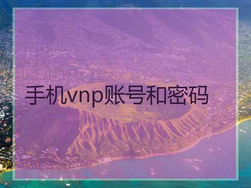 手机vnp账号和密码